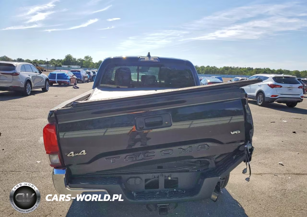 2020 Toyota Tacoma Sr5 V6 VIN:3TMCZ5AN3LM344420 - 6