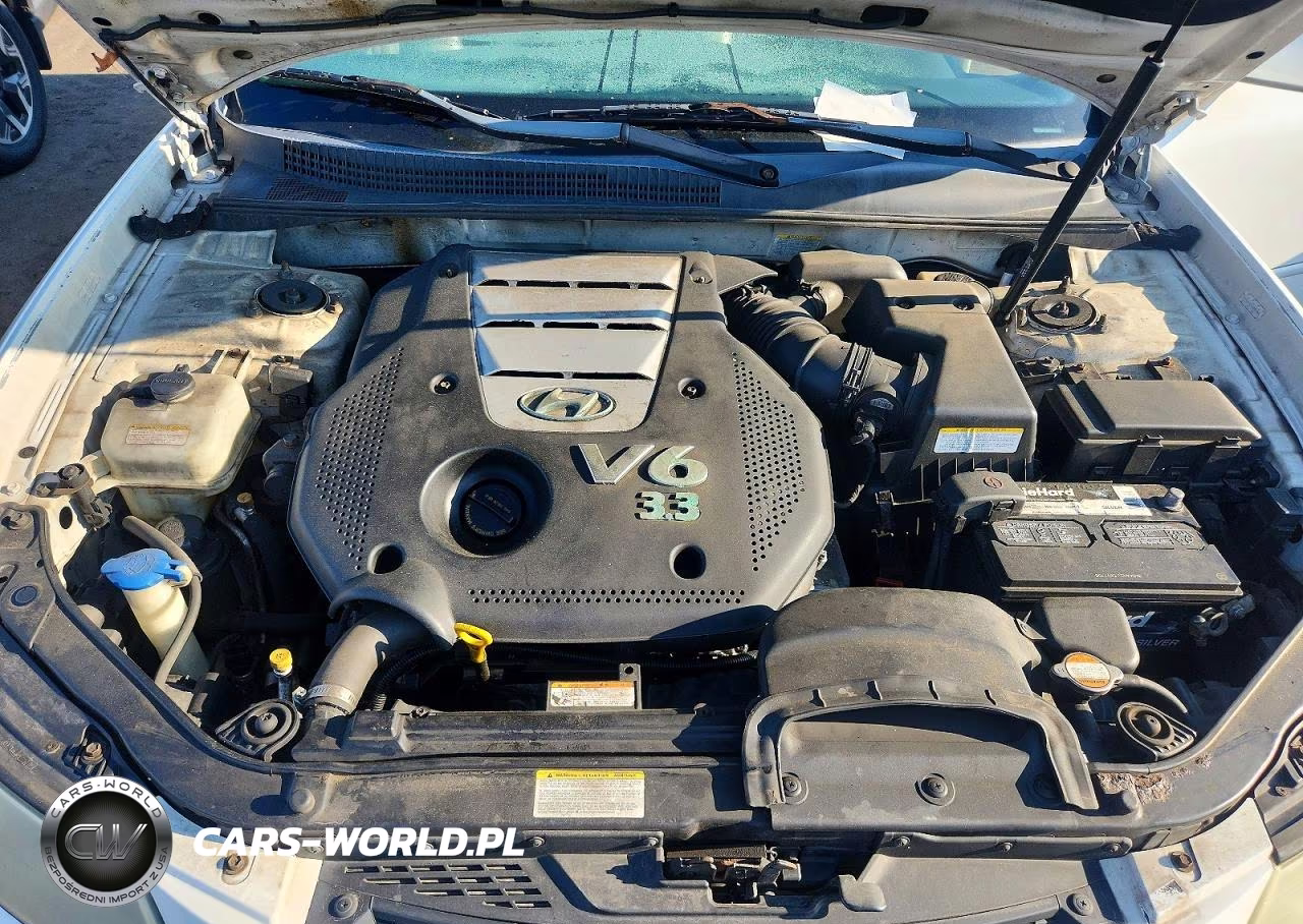 2007 Hyundai Sonata Se VIN:5NPEU46FX7H291696 - 11