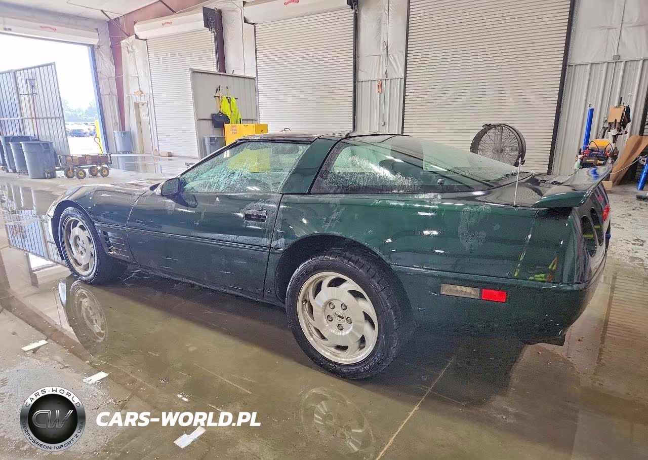 1993 Chevrolet Corvette VIN:1G1YY23P1P5101019 - 2