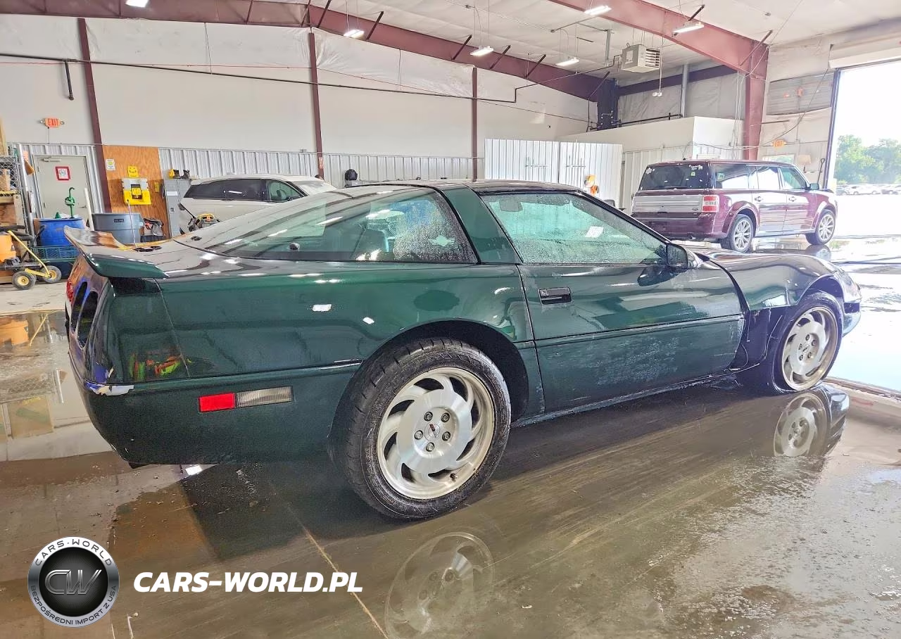 1993 Chevrolet Corvette VIN:1G1YY23P1P5101019 - 3