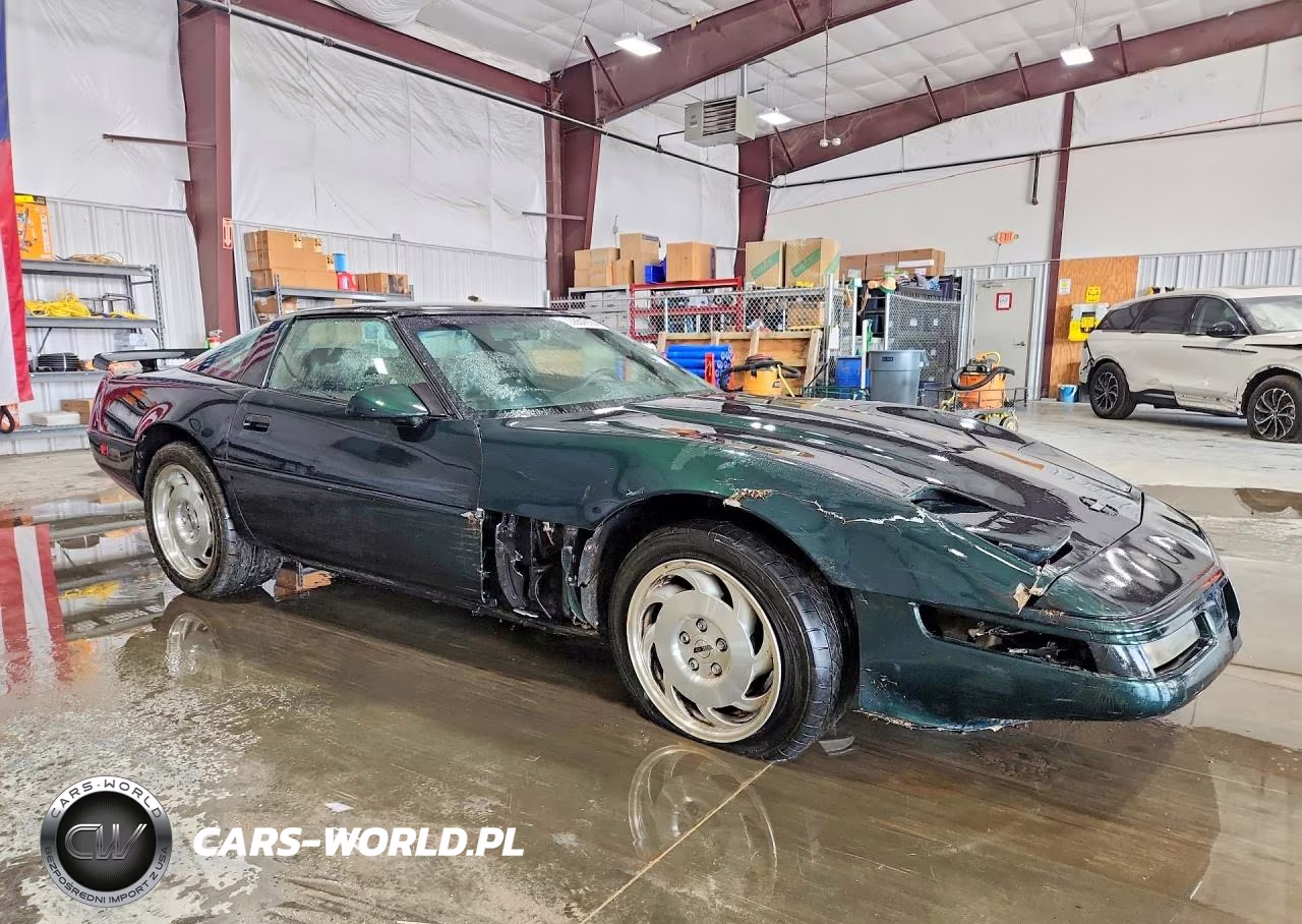 1993 Chevrolet Corvette VIN:1G1YY23P1P5101019 - 4