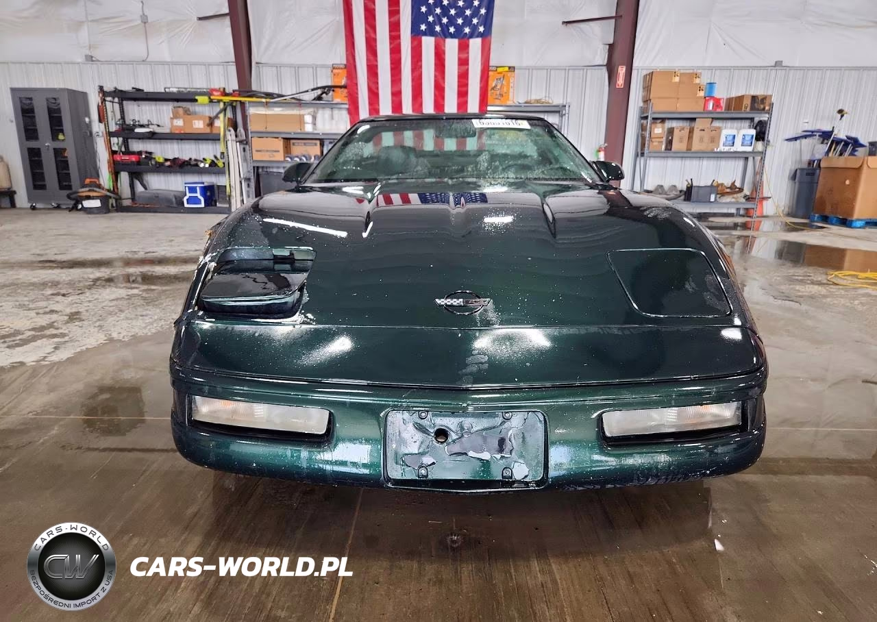 1993 Chevrolet Corvette VIN:1G1YY23P1P5101019 - 5