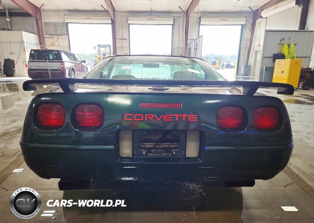 1993 Chevrolet Corvette VIN:1G1YY23P1P5101019 - 6