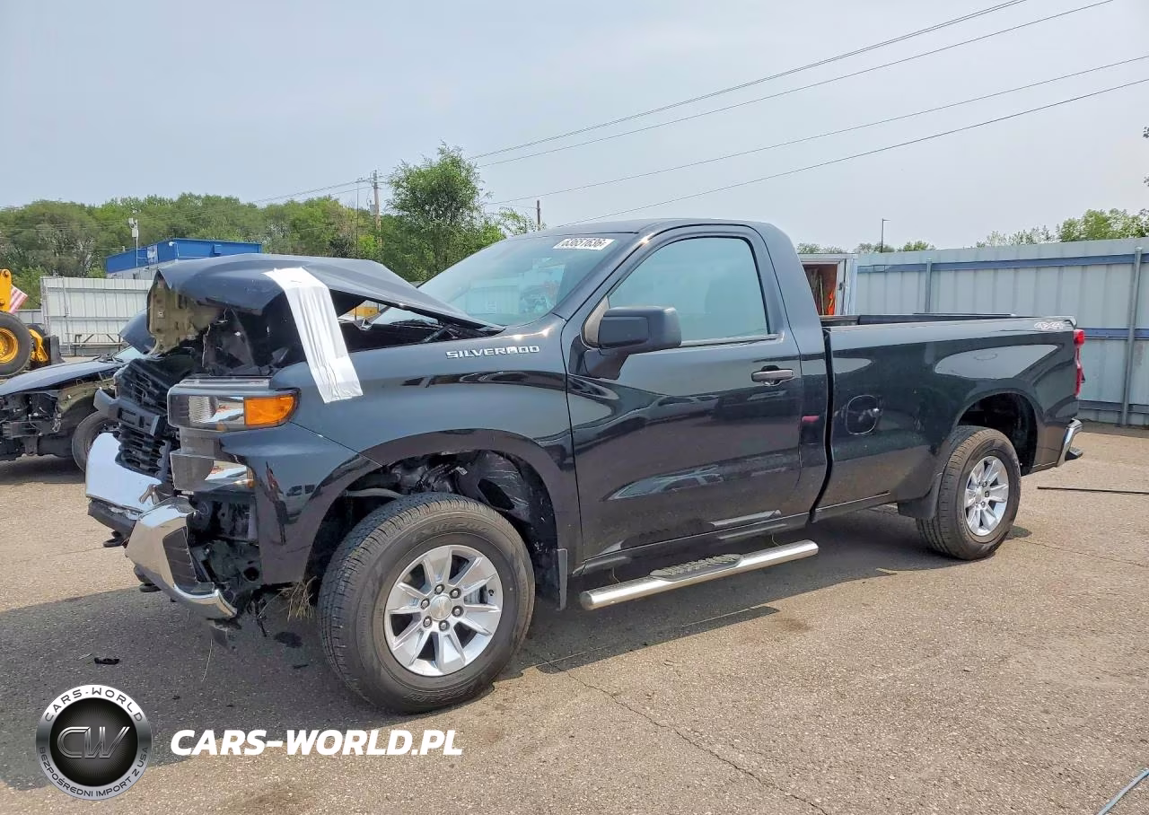 2019 Chevrolet Silverado K1500 VIN:3GCNYAEHXKG293729 - 1