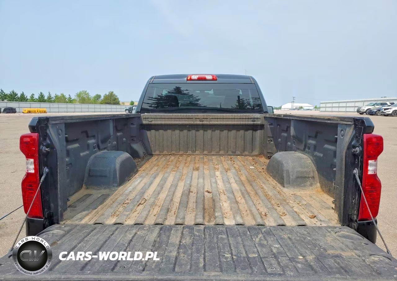 2019 Chevrolet Silverado K1500 VIN:3GCNYAEHXKG293729 - 10