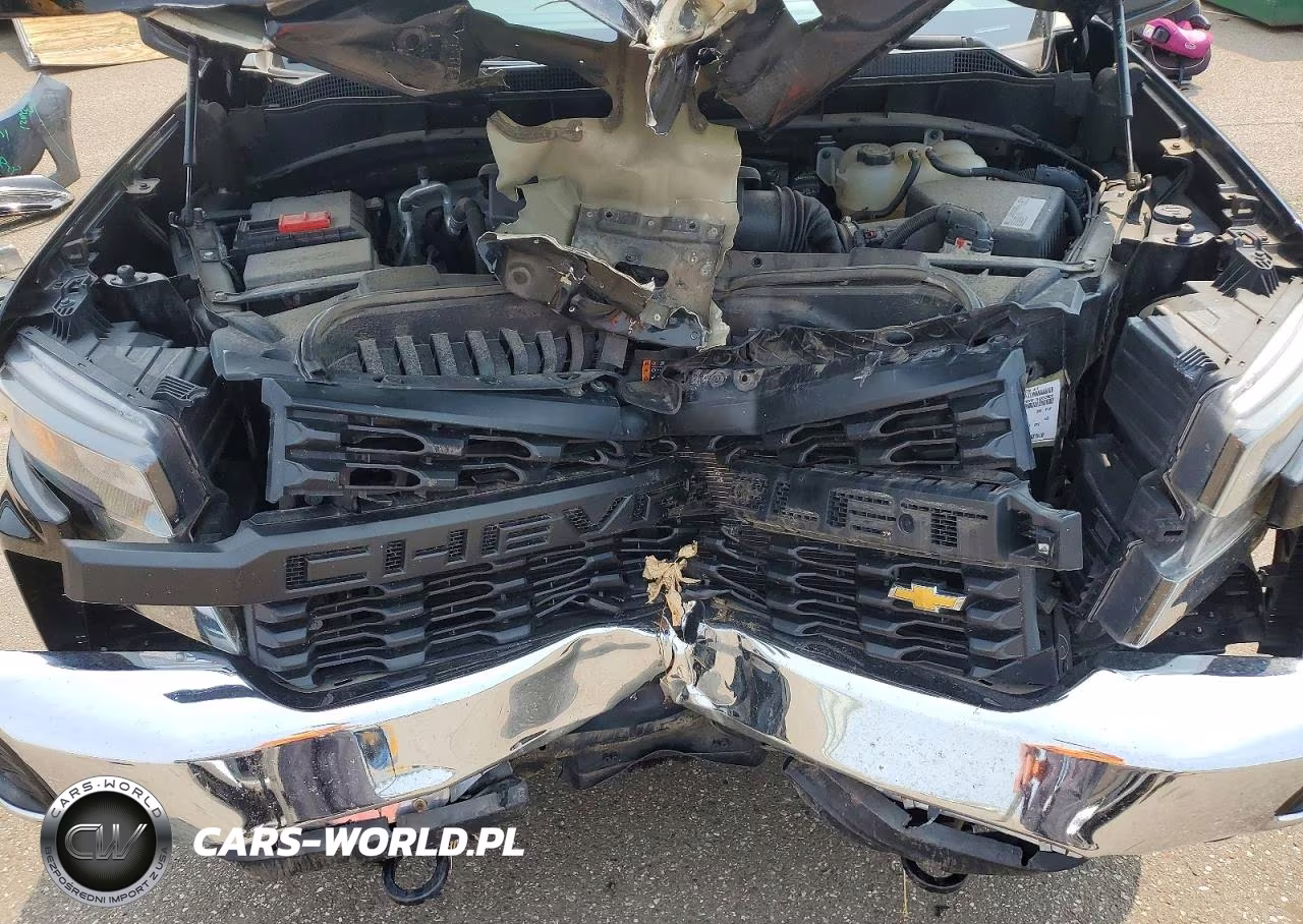 2019 Chevrolet Silverado K1500 VIN:3GCNYAEHXKG293729 - 11