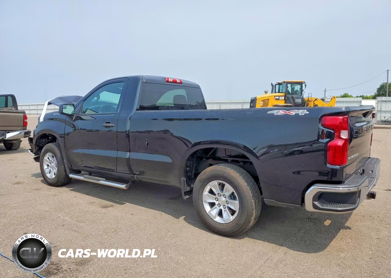 2019 Chevrolet Silverado K1500 VIN:3GCNYAEHXKG293729 - 2