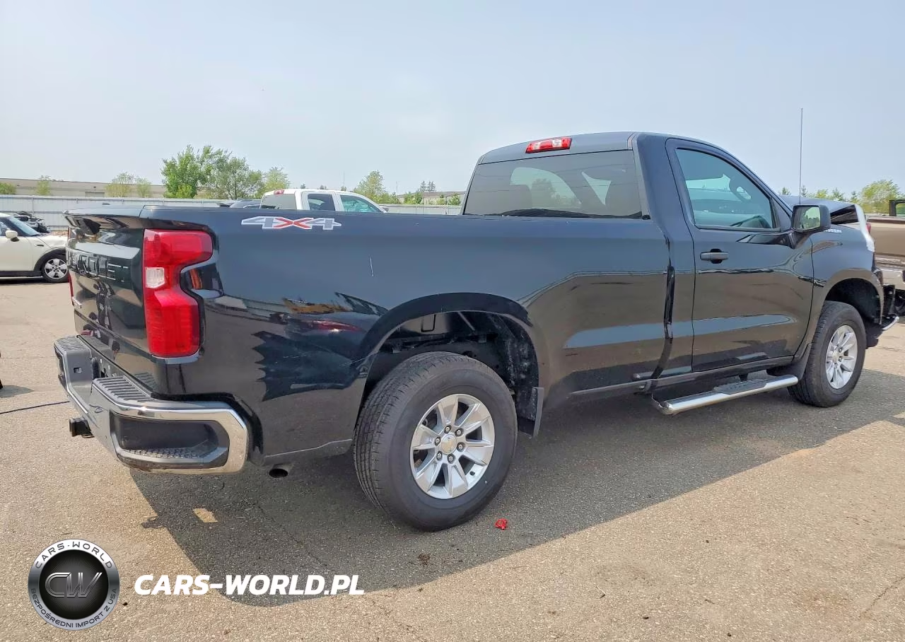2019 Chevrolet Silverado K1500 VIN:3GCNYAEHXKG293729 - 3