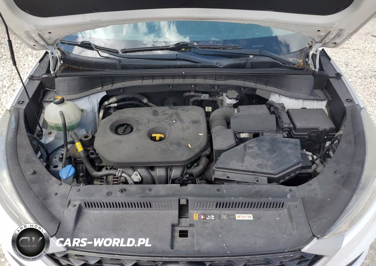 2019 Hyundai Tucson Se VIN:KM8J2CA45KU892450 - 12