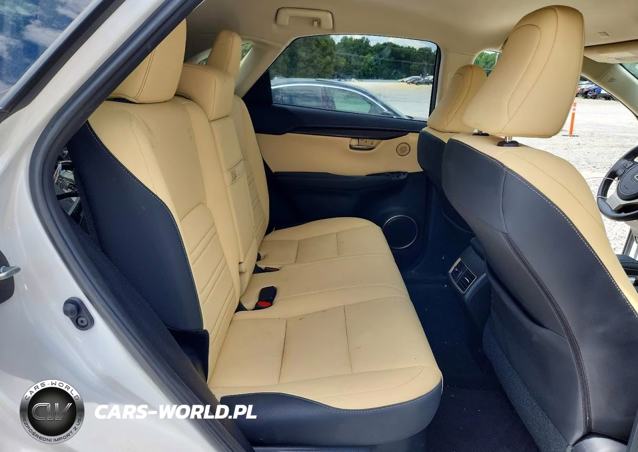 2021 Lexus Nx 300 Base VIN:JTJDARBZ6M5021732 - 11