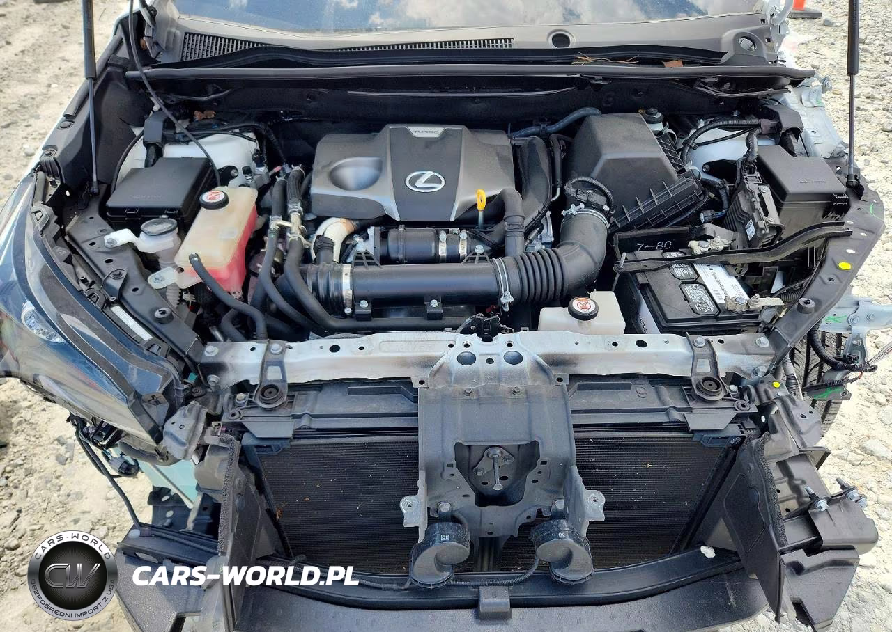 2021 Lexus Nx 300 Base VIN:JTJDARBZ6M5021732 - 12