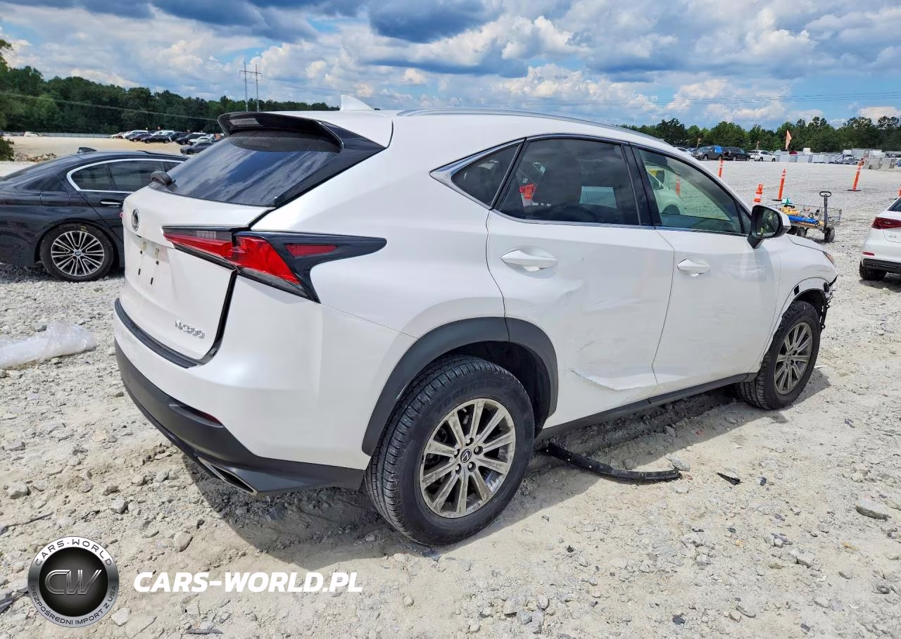2021 Lexus Nx 300 Base VIN:JTJDARBZ6M5021732 - 3