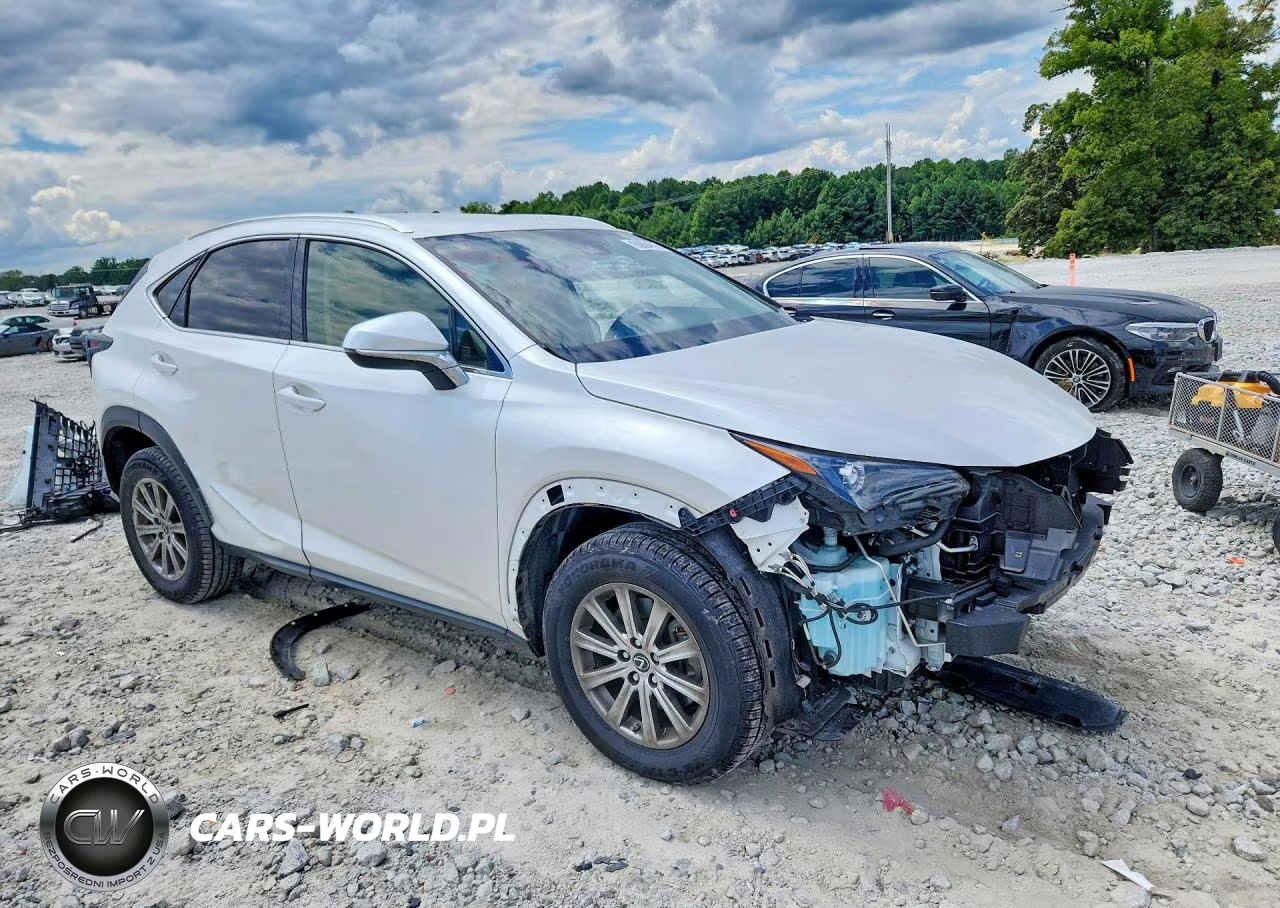 2021 Lexus Nx 300 Base VIN:JTJDARBZ6M5021732 - 4