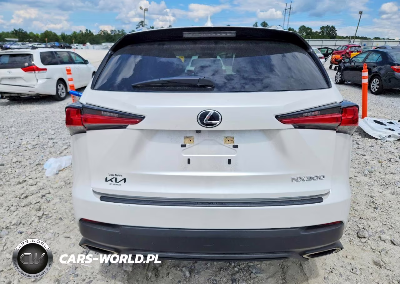 2021 Lexus Nx 300 Base VIN:JTJDARBZ6M5021732 - 6