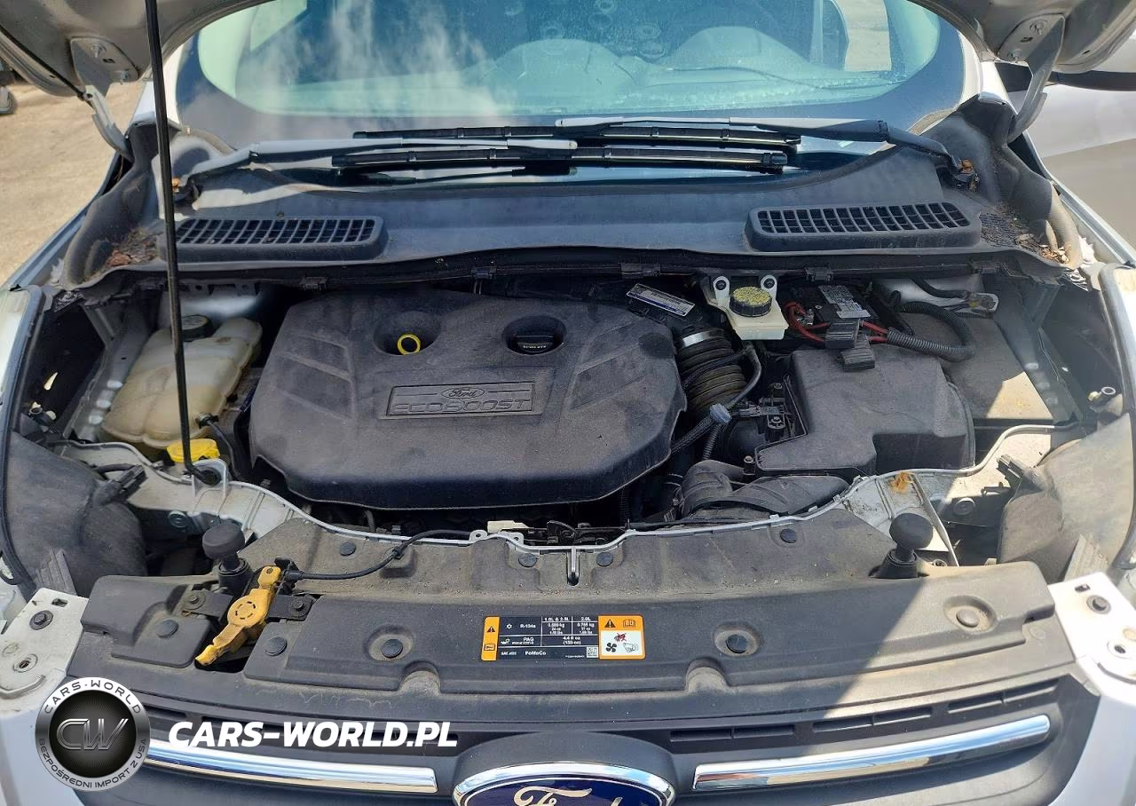 2013 Ford Escape Se VIN:1FMCU9G94DUA21227 - 12