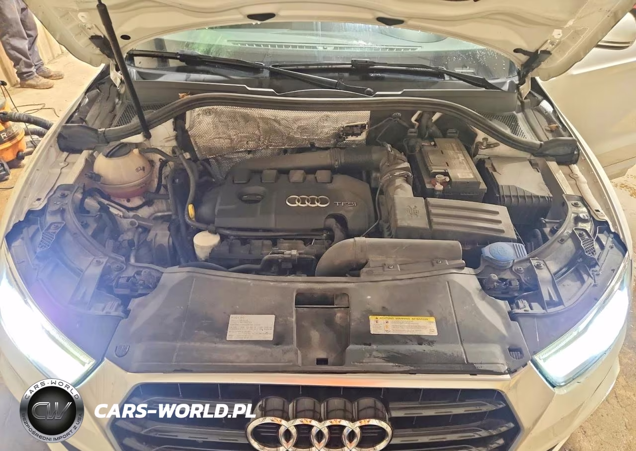 2016 Audi Q3 Premium Plus VIN:WA1EFCFS9GR019483 - 11