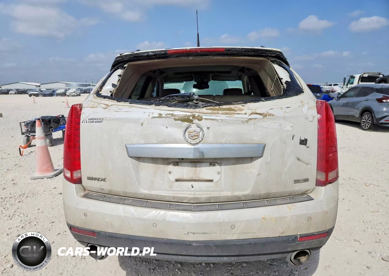 2012 Cadillac Srx Luxury Collection VIN:3GYFNAE31CS518890 - 6