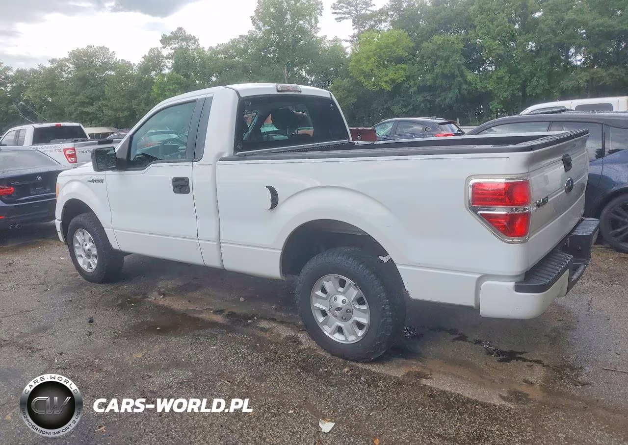 2009 Ford F150 VIN:1FTRF12W49KA97573 - 2