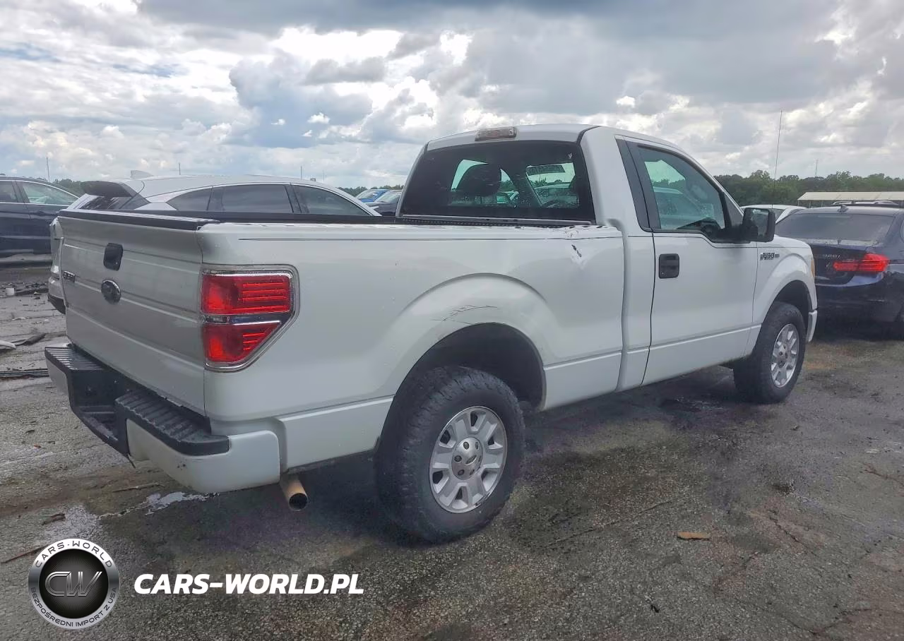 2009 Ford F150 VIN:1FTRF12W49KA97573 - 3