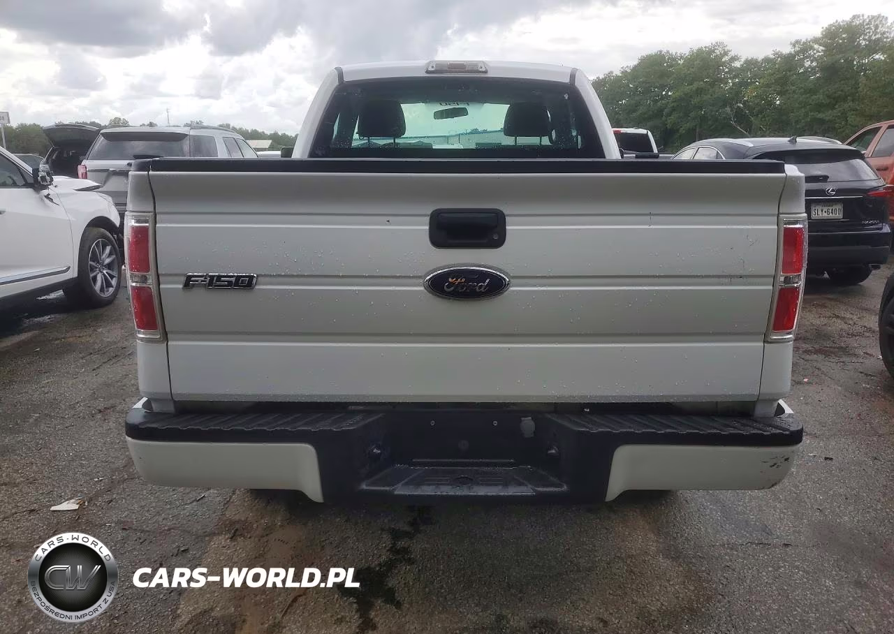 2009 Ford F150 VIN:1FTRF12W49KA97573 - 6