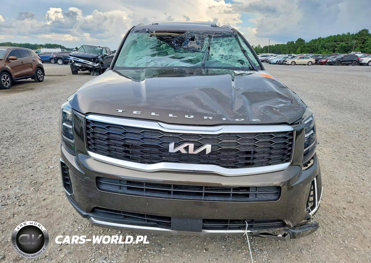 2022 Kia Telluride Ex VIN:5XYP34HC1NG281237 - 5