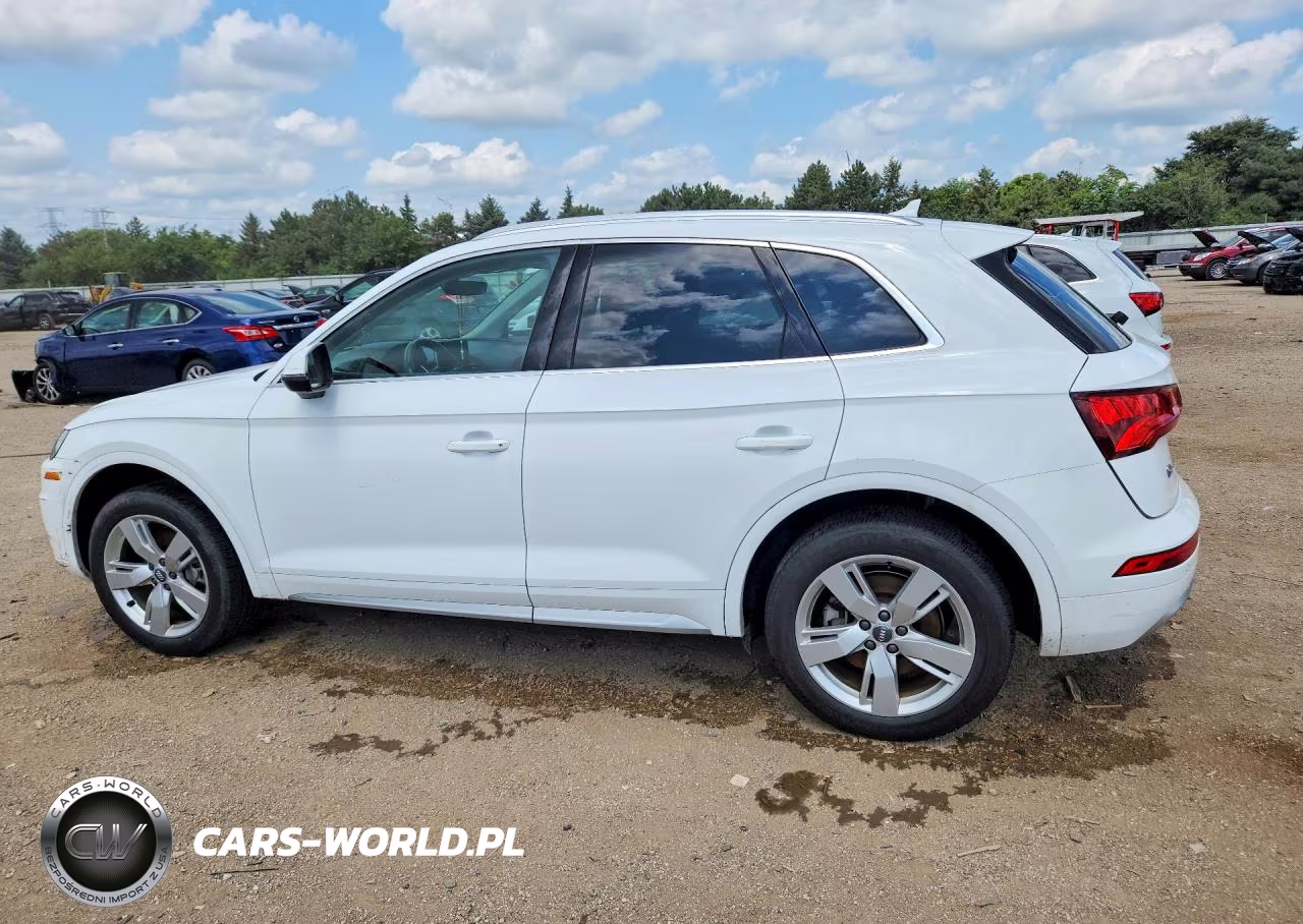 2019 Audi Q5 Premium Plus VIN:WA1BNAFY3K2067321 - 2