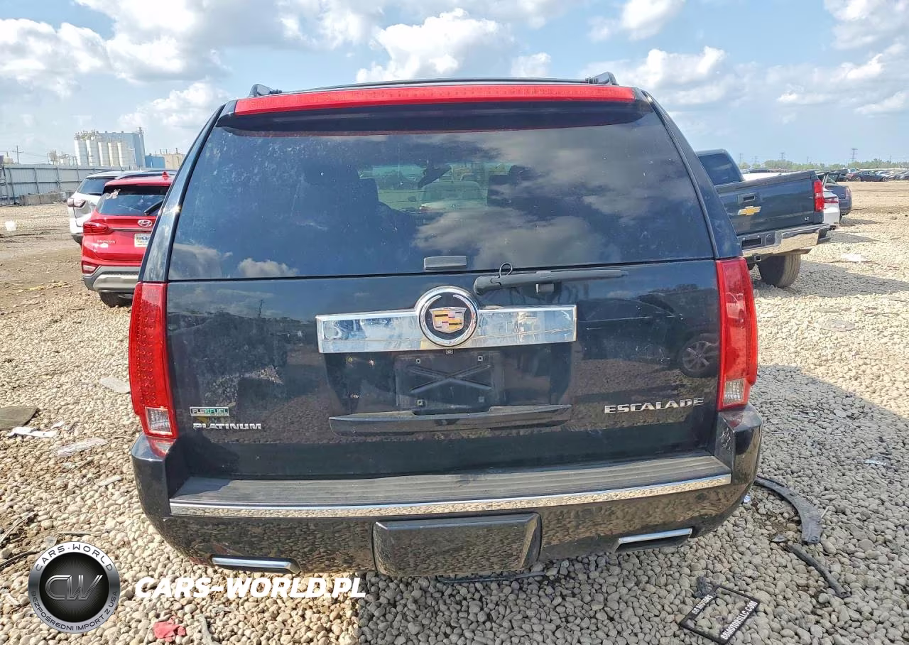 2012 Cadillac Escalade Platinum VIN:1GYS4DEF0CR259096 - 6