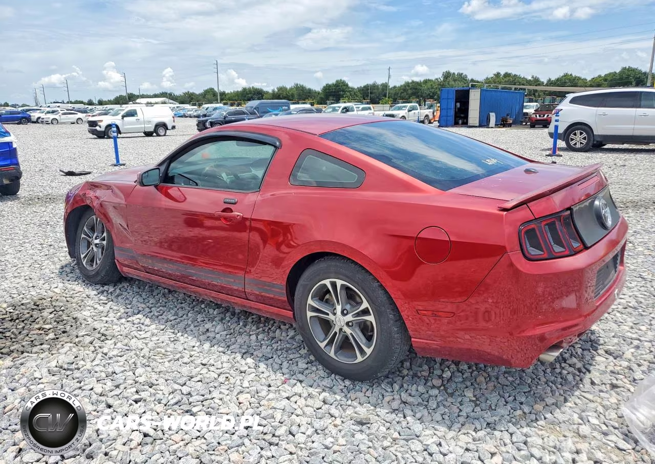 2014 Ford Mustang VIN:1ZVBP8AM1E5240444 - 2
