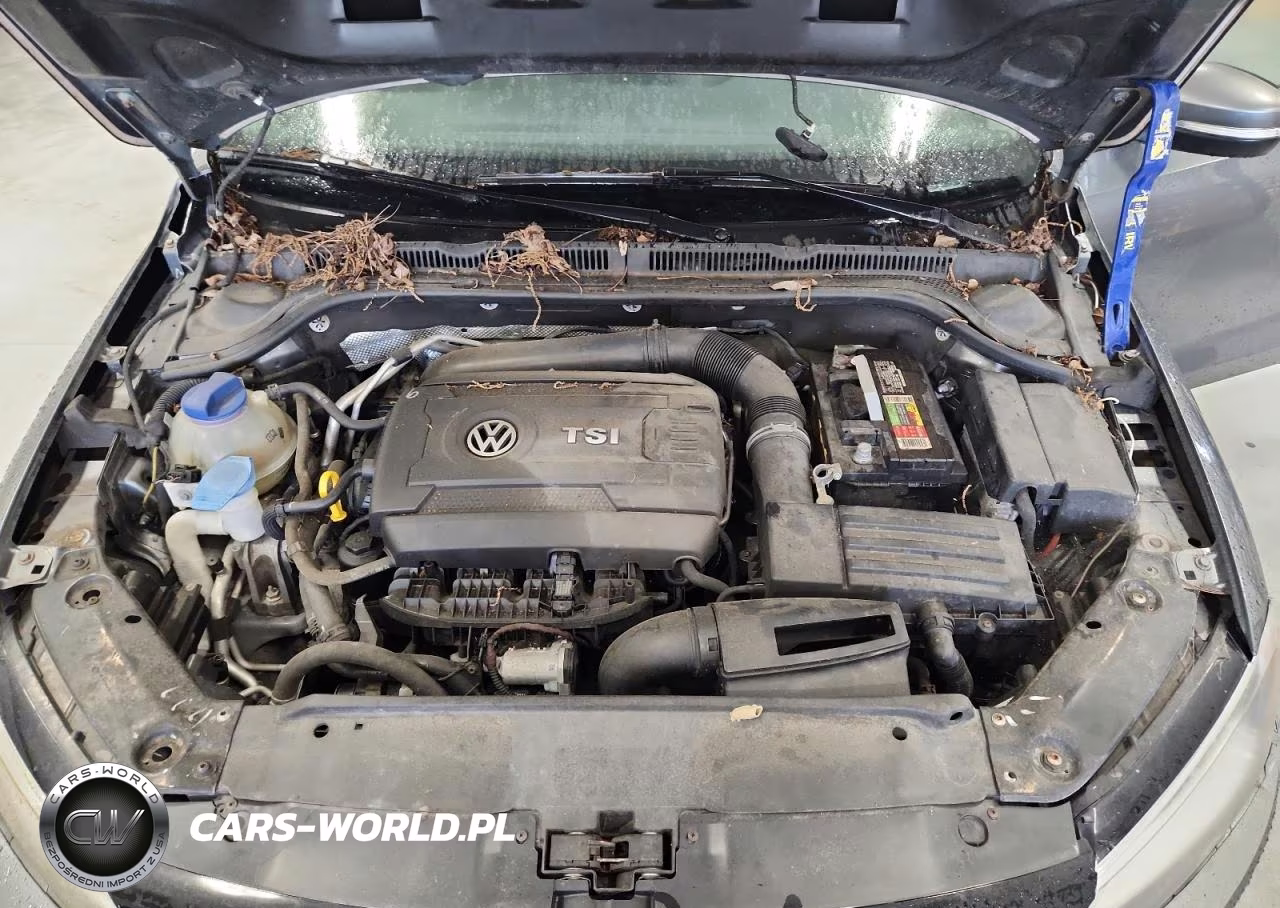2014 Volkswagen Jetta Se VIN:3VWD17AJ8EM260730 - 11