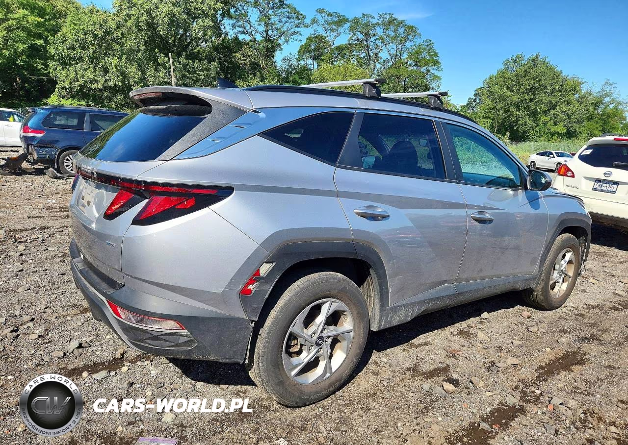 2024 Hyundai Tucson Sel VIN:5NMJBCDE9RH337253 - 2