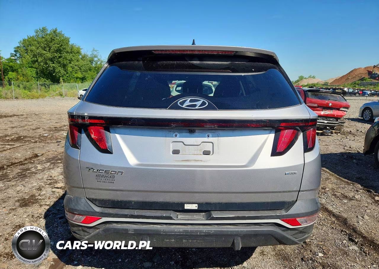 2024 Hyundai Tucson Sel VIN:5NMJBCDE9RH337253 - 5