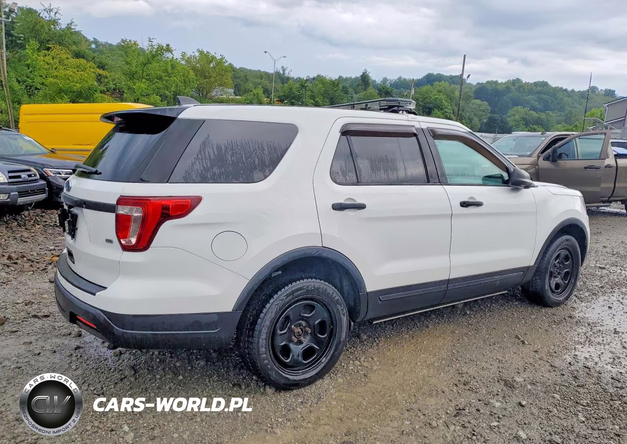 2019 Ford Explorer Police Interceptor VIN:1FM5K8AR2KGB15345 - 3