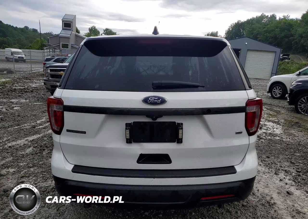 2019 Ford Explorer Police Interceptor VIN:1FM5K8AR2KGB15345 - 6