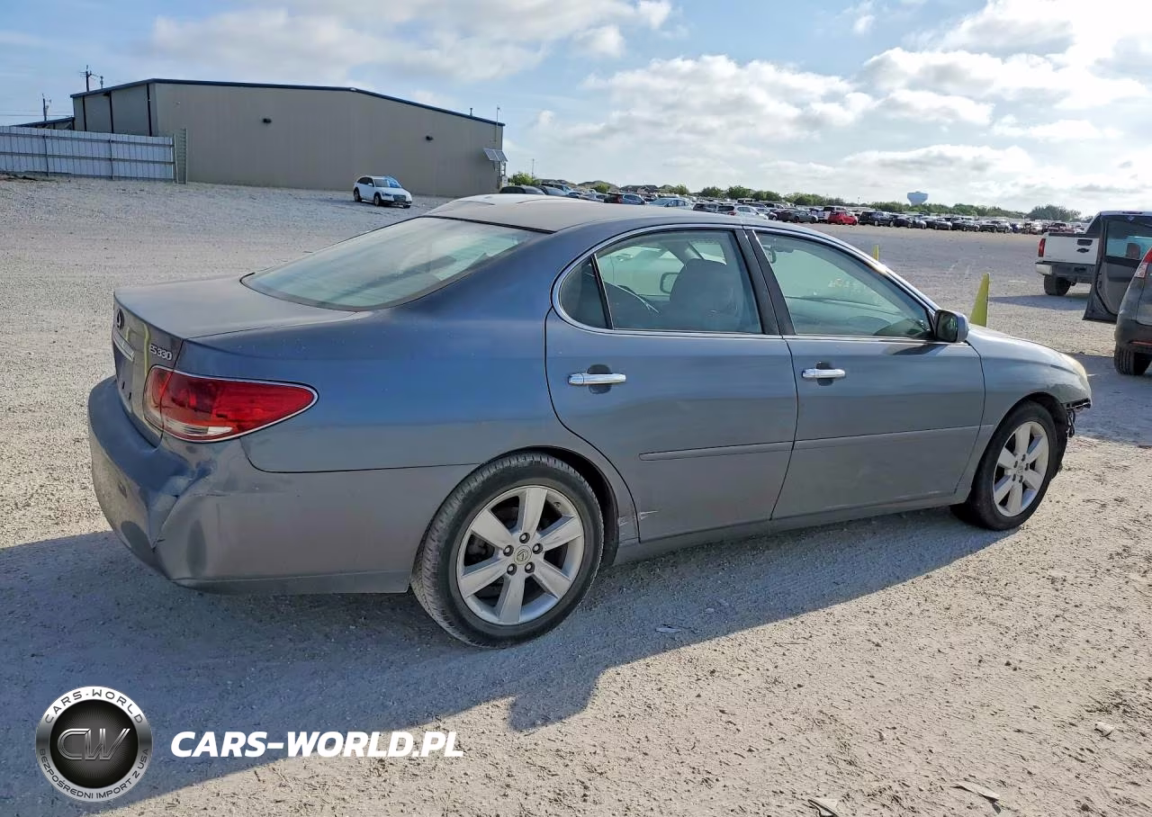 2005 Lexus Es 330 VIN:JTHBA30GX55073860 - 3