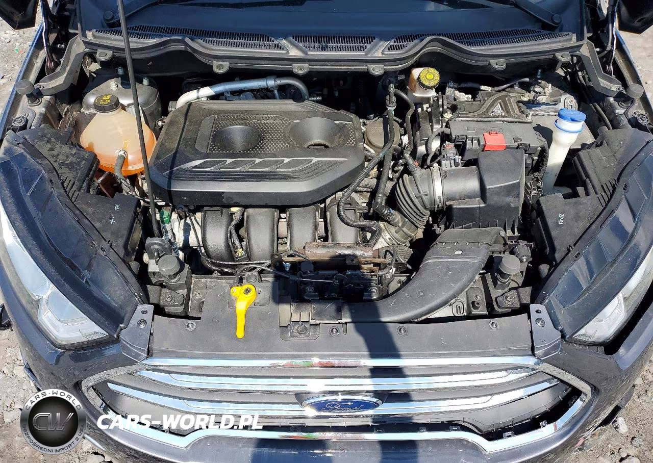 2020 Ford Ecosport Se VIN:MAJ6S3GLXLC348466 - 12