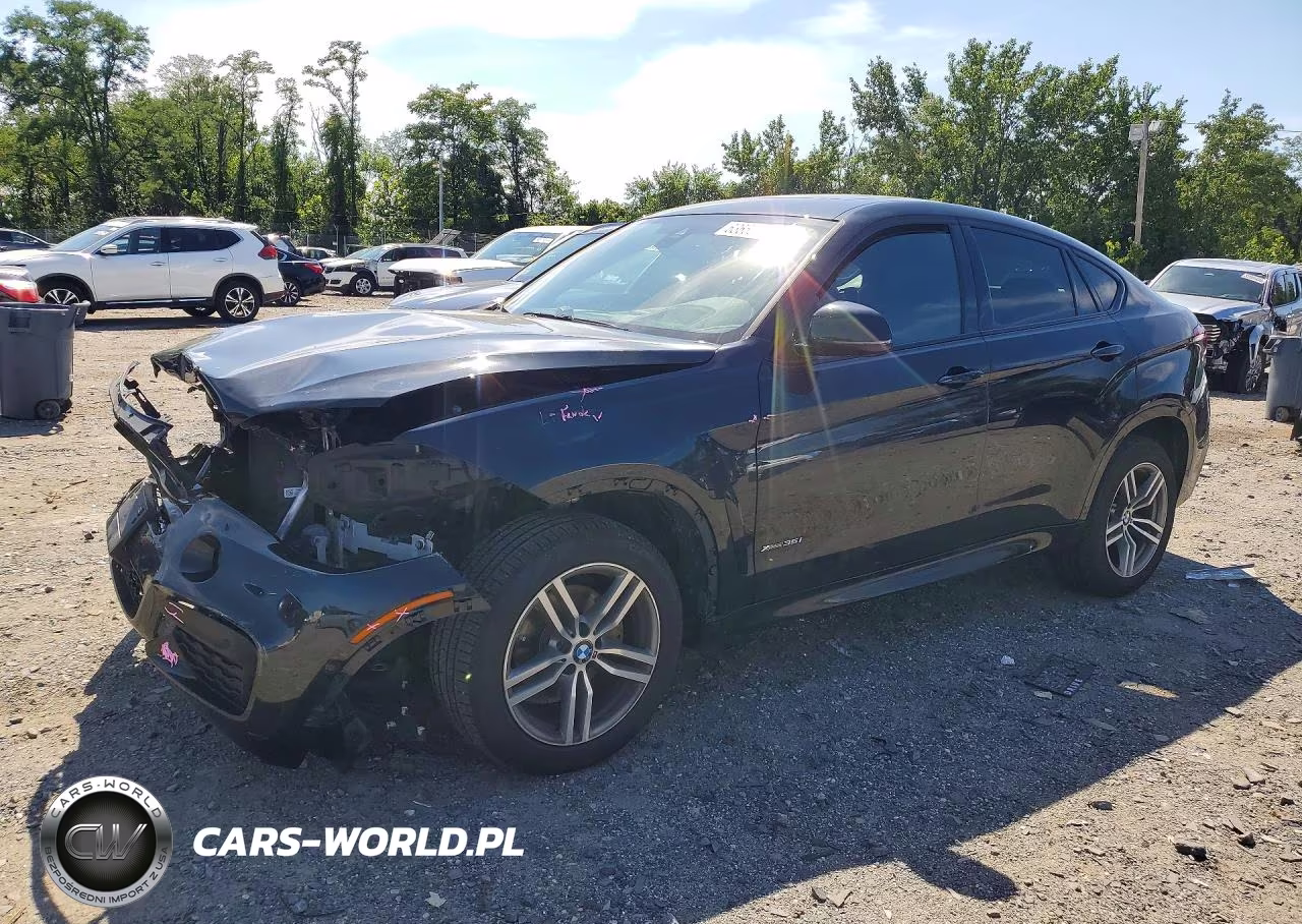 2018 BMW X6 xDrive35I – zdjęcie 1 z 13