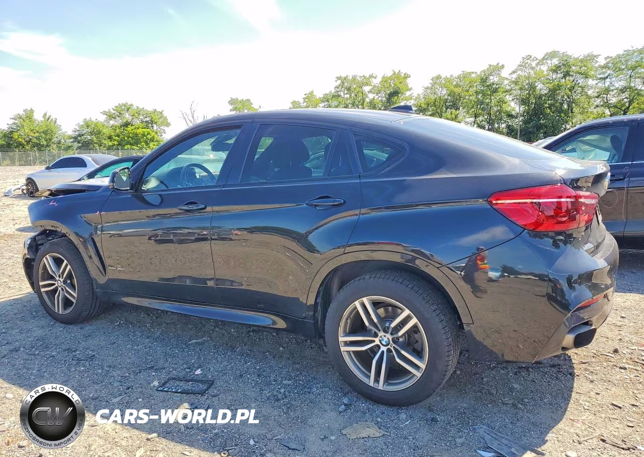 2018 BMW X6 xDrive35I VIN:5UXKU2C52J0X51570 - 2