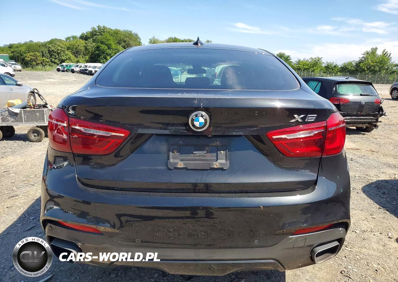 2018 BMW X6 xDrive35I VIN:5UXKU2C52J0X51570 - 6