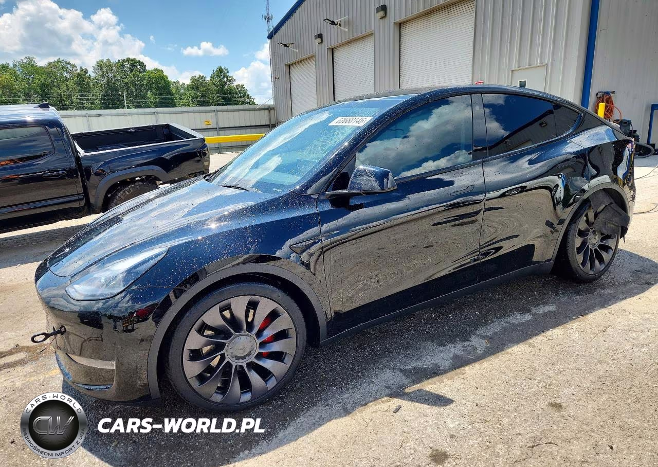 2021 Tesla Model Y