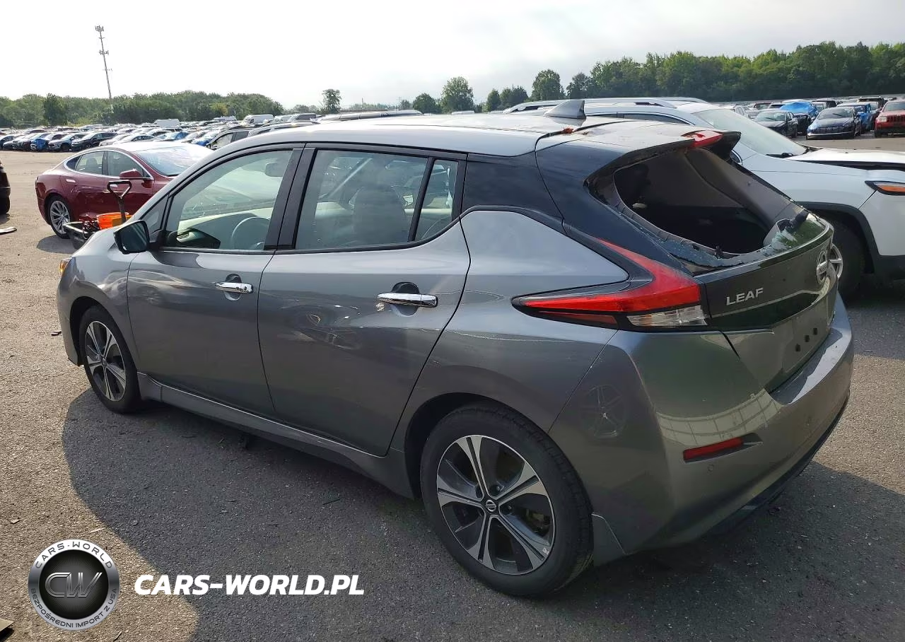 2020 Nissan Leaf Sl Plus VIN:1N4BZ1DP7LC311493 - 2