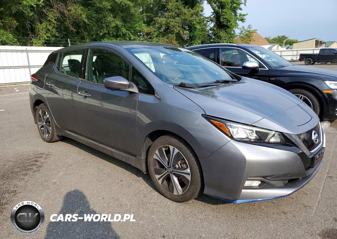 2020 Nissan Leaf Sl Plus VIN:1N4BZ1DP7LC311493 - 4