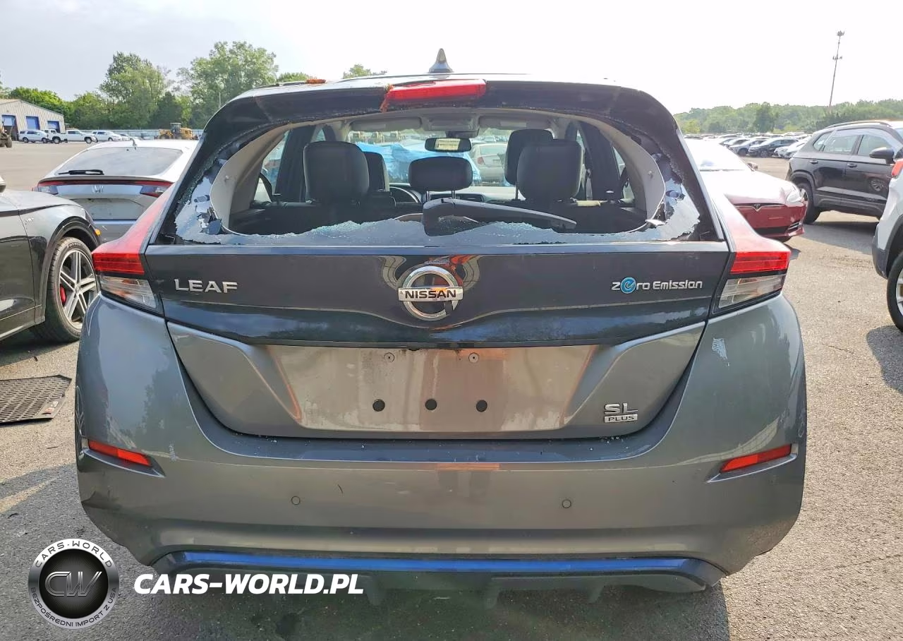 2020 Nissan Leaf Sl Plus VIN:1N4BZ1DP7LC311493 - 6