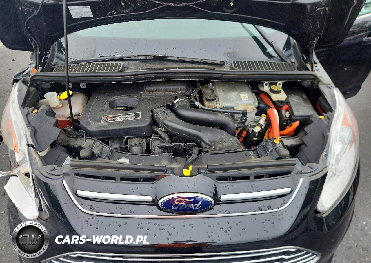 2013 Ford C-Max Premium VIN:1FADP5CU7DL531215 - 11