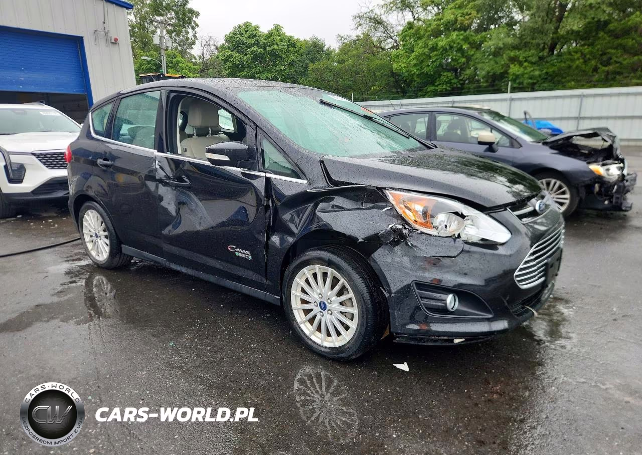 2013 Ford C-Max Premium VIN:1FADP5CU7DL531215 - 4