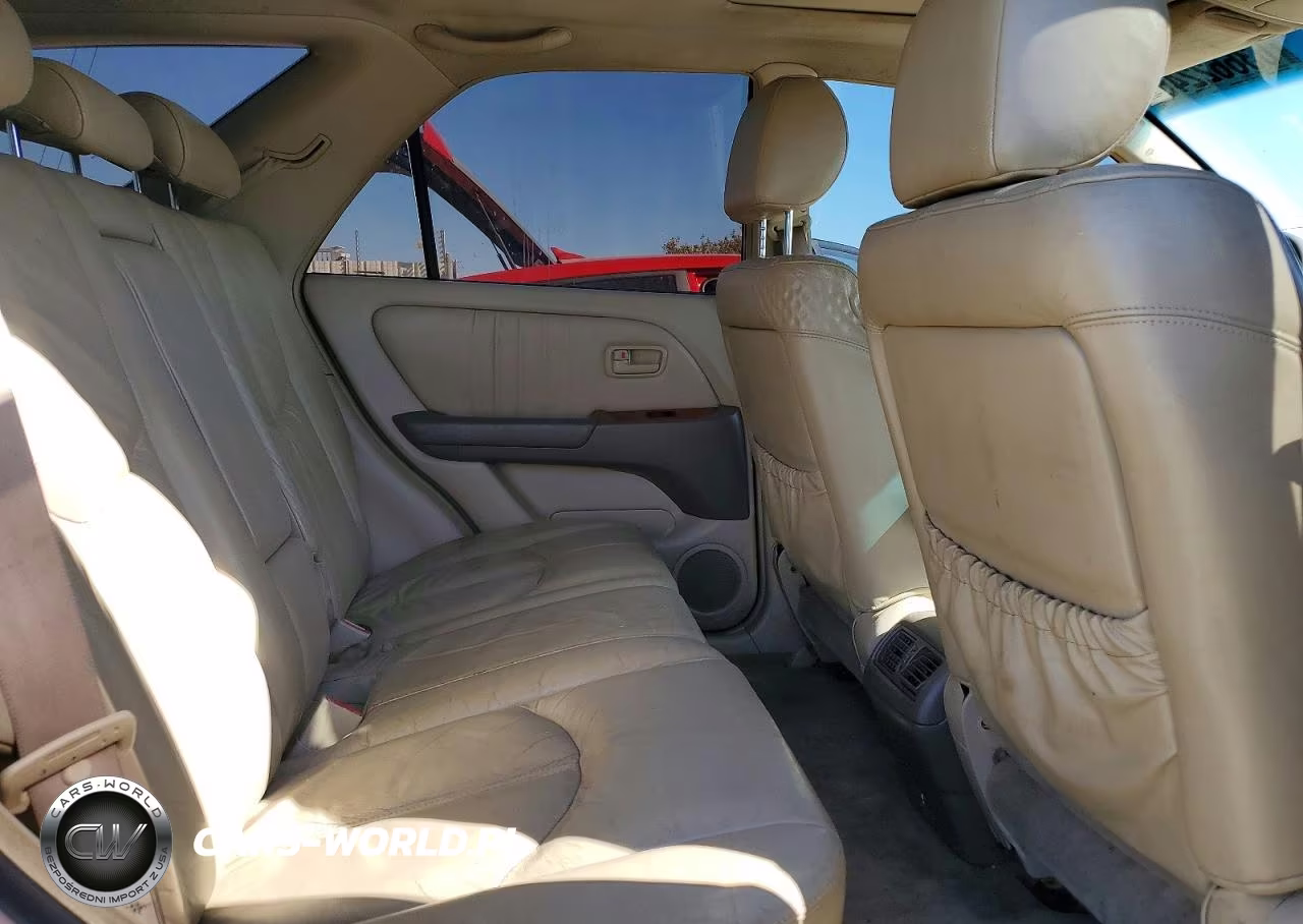 1999 Lexus Rx 300 VIN:JT6HF10U4X0014415 - 11