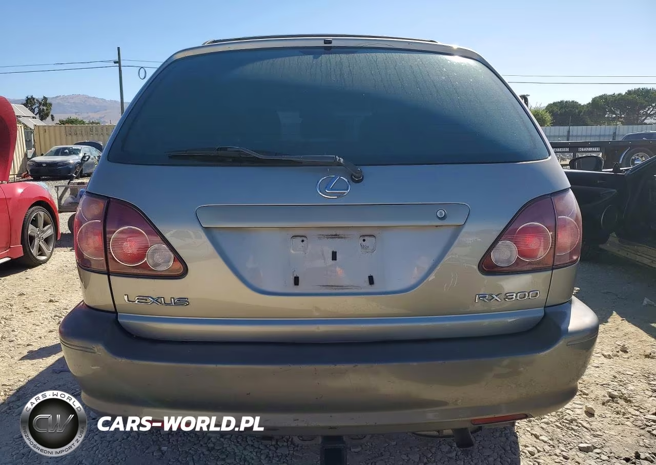1999 Lexus Rx 300 VIN:JT6HF10U4X0014415 - 6