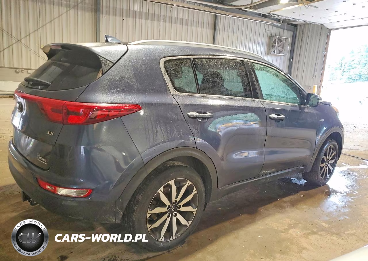 2019 Kia Sportage Ex VIN:KNDPNCAC3K7559434 - 3