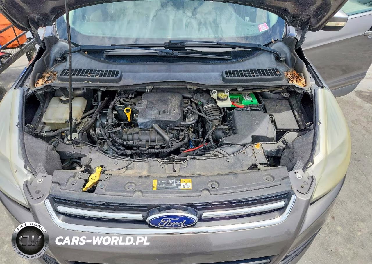 2013 Ford Escape Sel VIN:1FMCU0HX8DUD49128 - 12