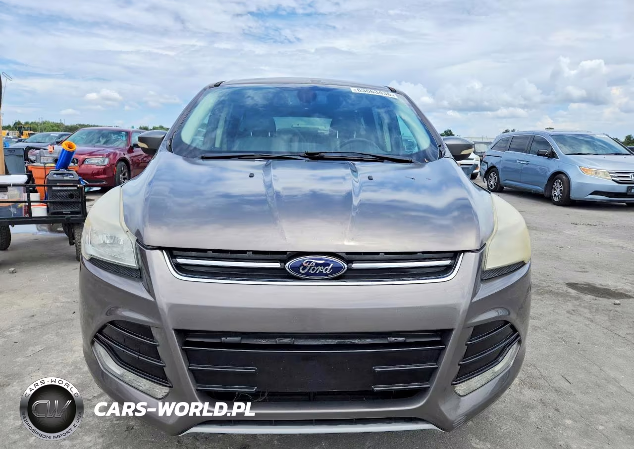 2013 Ford Escape Sel VIN:1FMCU0HX8DUD49128 - 5