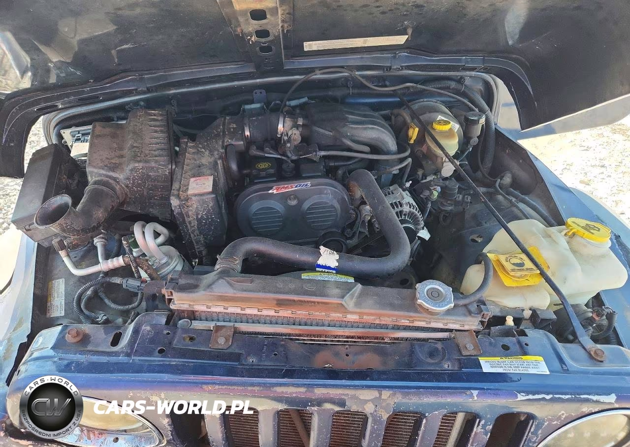 2003 Jeep Wrangler - Tj Se VIN:1J4FA29113P334977 - 12